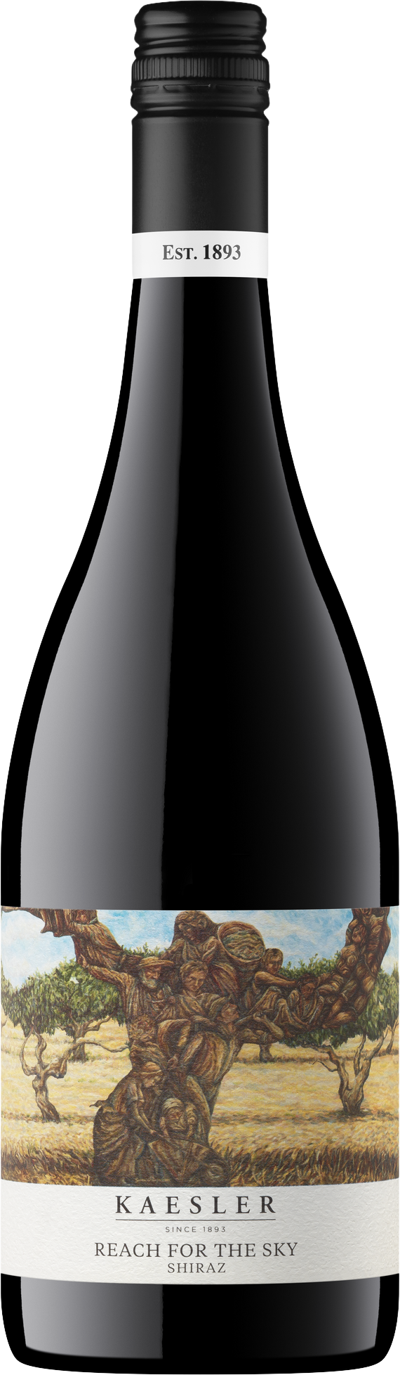 Shiraz 2024 — Barossa Valley